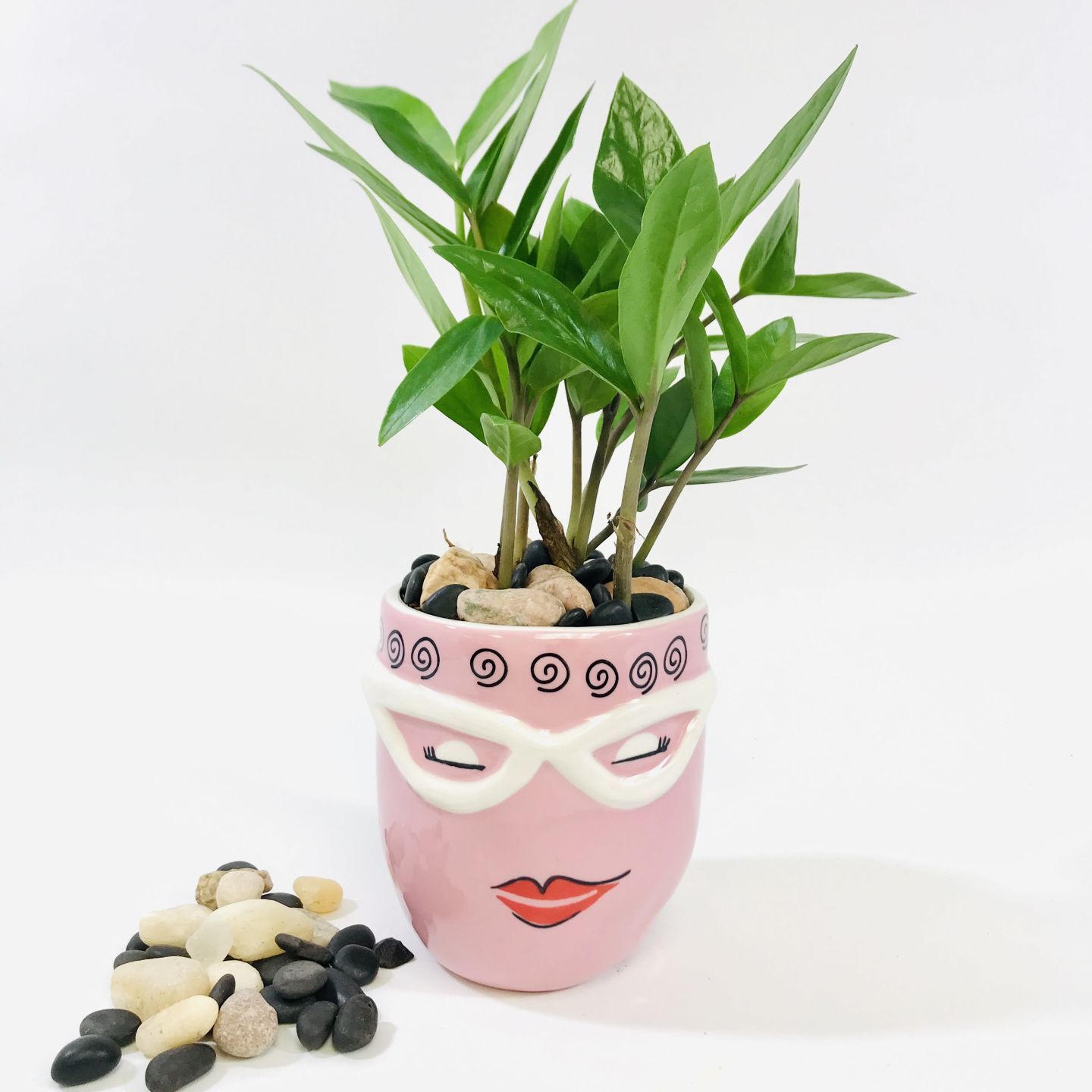 Monique flower pot and plant